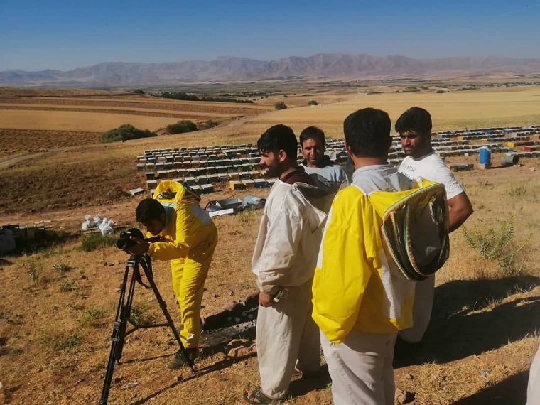 برخاستن از زمین خاکی برخاستن از زمین خاکی