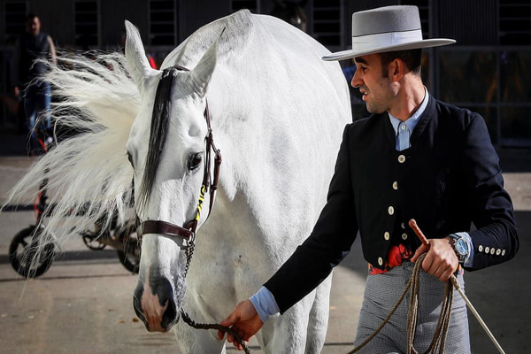 انهدام 40 هزار اسلحه / اسب های میلیون دلاری (گزارش تصویری) انهدام 40 هزار اسلحه / اسب های میلیون دلاری (گزارش تصویری)