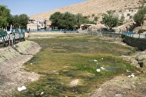 سرابی که به یک برکه با ۱۰ هزار ماهی مُرده تبدیل شد