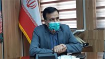 گسترش مشاغل خانگی رونق اقتصادی و ایجاد اشتغال