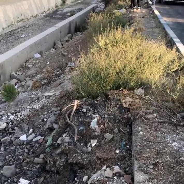 مدیر روابط عمومی آتش‌نشانی زنجان، از کشف جسدی در سطل زباله در منطقه حسن ابدال زنجان خبر داد،علت مرگ در دست بررسی ست.