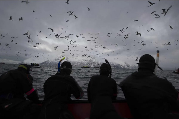 لحظات مهم خبری و غیرخبری در شبانه روز اخیر (گزارش تصویری) لحظات مهم خبری و غیرخبری در شبانه روز اخیر (گزارش تصویری)