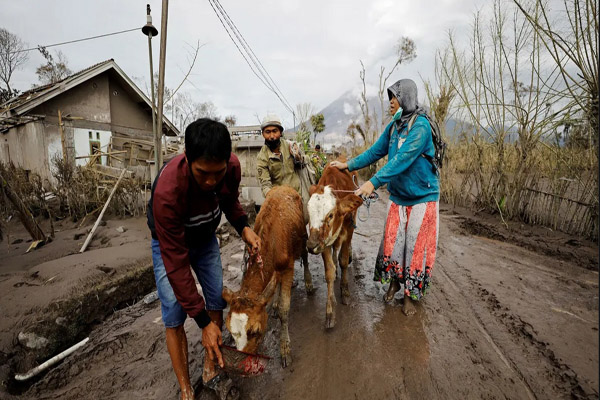 لحظات مهم خبری و غیرخبری در شبانه روز اخیر (گزارش تصویری) لحظات مهم خبری و غیرخبری در شبانه روز اخیر (گزارش تصویری)