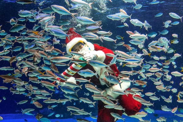 لحظات مهم خبری و غیرخبری در شبانه روز اخیر (گزارش تصویری) لحظات مهم خبری و غیرخبری در شبانه روز اخیر (گزارش تصویری)