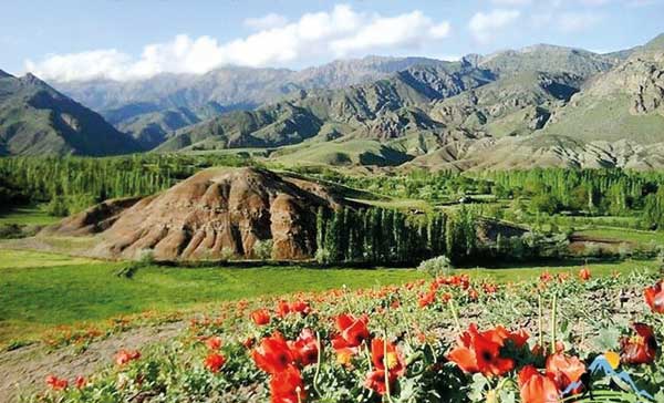فرصتی که سوخت، امیدی که مانده (+عکس) فرصتی که سوخت، امیدی که مانده (+عکس)
