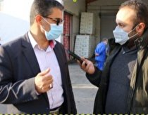 تلاش برای ارتقاء سرانه فضای سبز فیروزکوه در۲ سال آینده