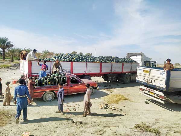 ‌بفرمایید هندوانه بورک