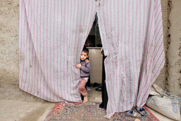 یلدای سرخ کم‌ رنگ (+تصاویر)