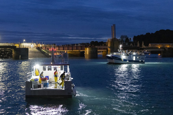 رانش زمین یک جاده را بلعید/ شهرت جهانی گربه ای که سبز شد (گزارش تصویری)