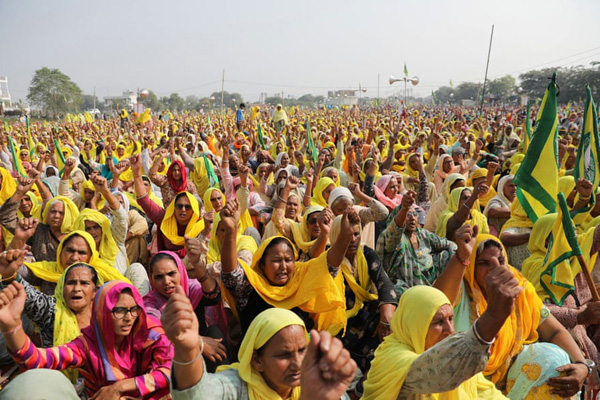 رانش زمین یک جاده را بلعید/ شهرت جهانی گربه ای که سبز شد (گزارش تصویری)
