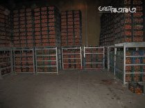 ذخیره سازی و توزیع 830 تن میوه در ایام عید در استان چهار محال و بختیاری