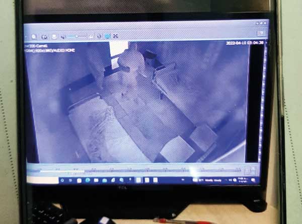 کشتمش تا به بهشت برود! (+تصاویر) کشتمش تا به بهشت برود! (+تصاویر)