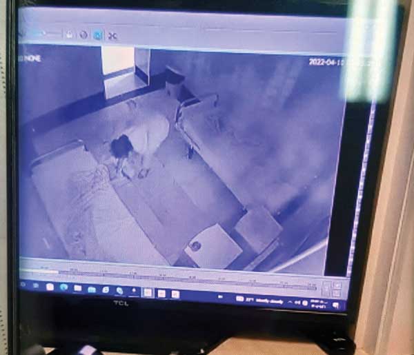 کشتمش تا به بهشت برود! (+تصاویر) کشتمش تا به بهشت برود! (+تصاویر)