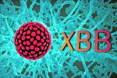 از XBB و BQ.1 چه می‌دانید؟/”سوزش شدید حلق” و “طعم بد دهان” علائم ابتلا به دو زیرسویه جدید