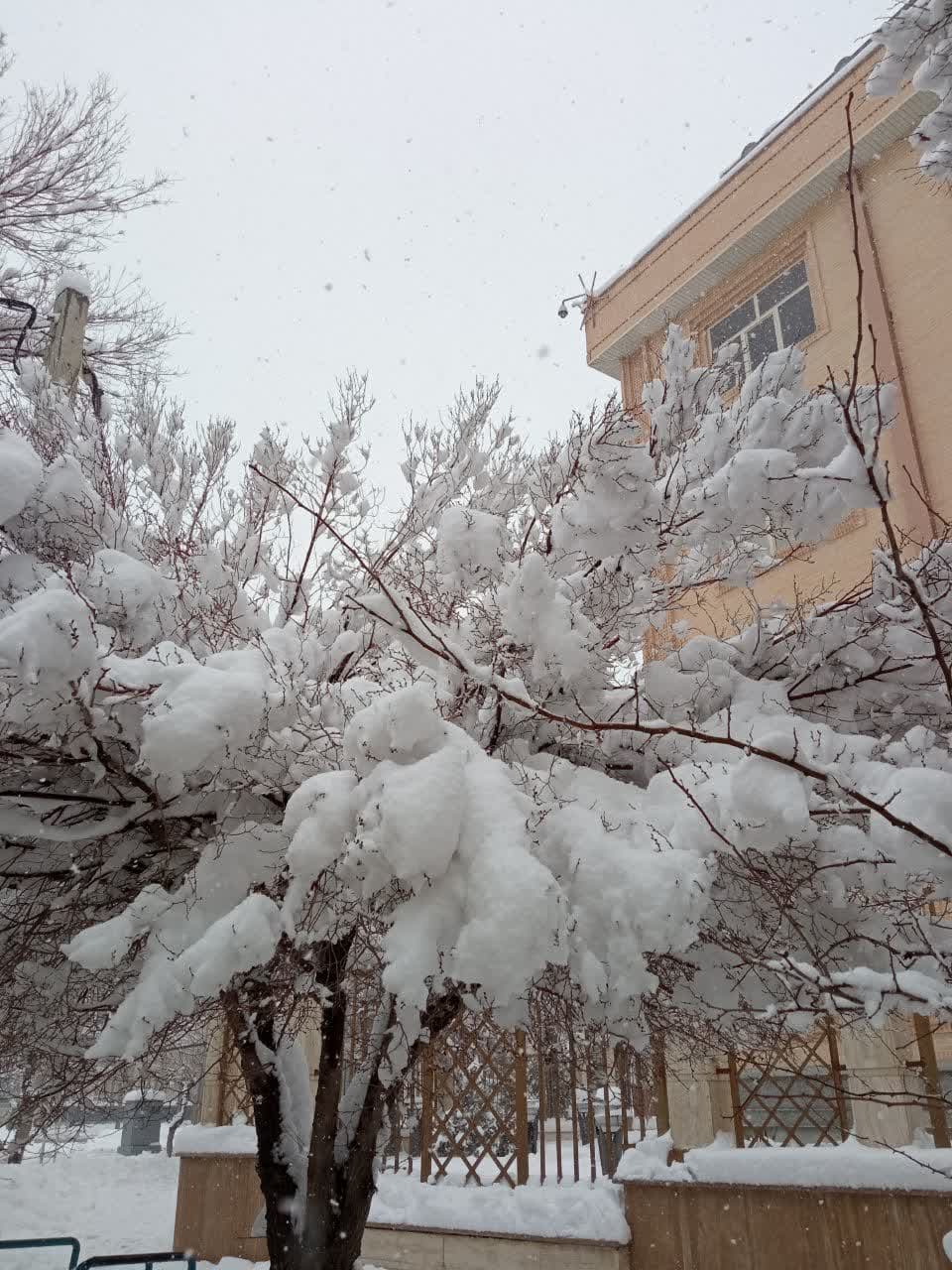 طبیعت برفی و زمستانی شهرستان بروجن (سوئیس ایران) طبیعت برفی و زمستانی شهرستان بروجن (سوئیس ایران)