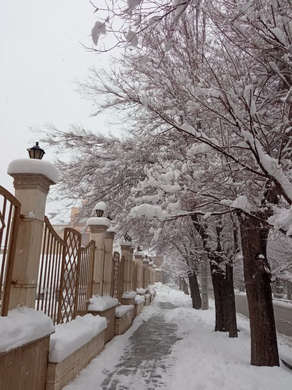طبیعت برفی و زمستانی شهرستان بروجن (سوئیس ایران) طبیعت برفی و زمستانی شهرستان بروجن (سوئیس ایران)