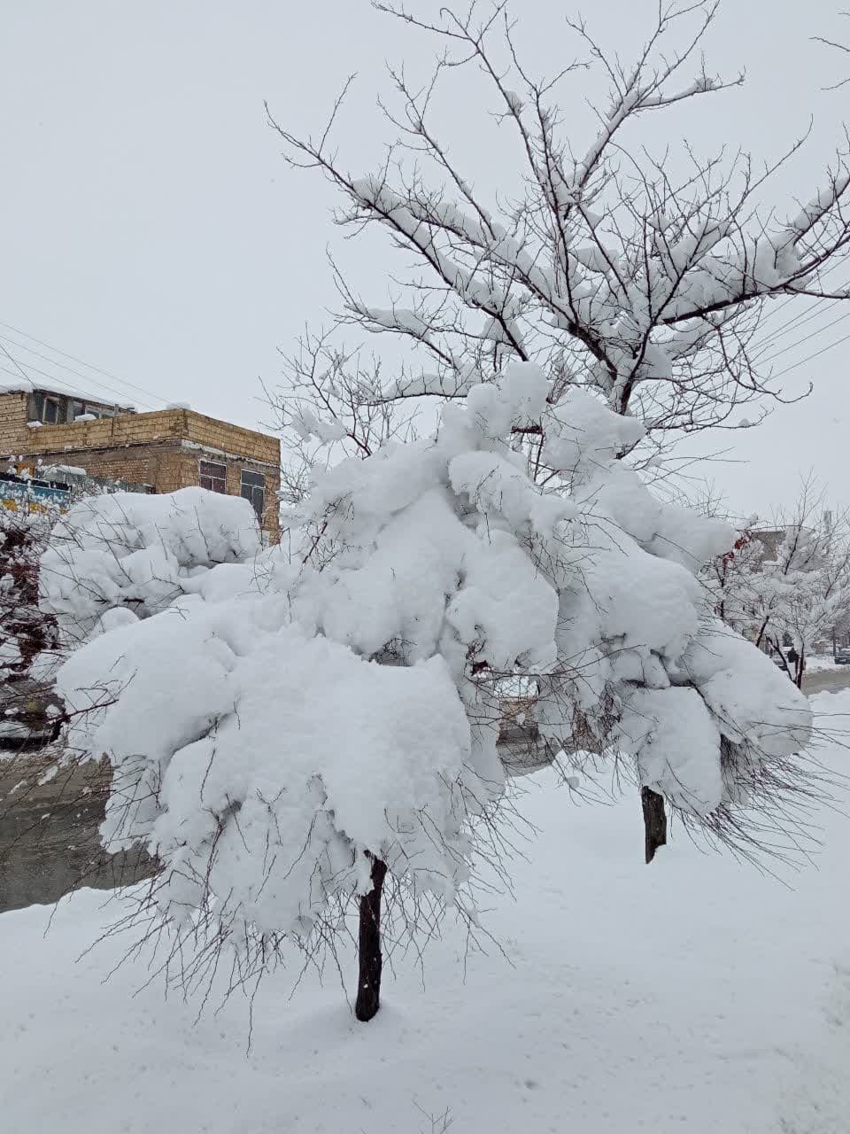 طبیعت برفی و زمستانی شهرستان بروجن (سوئیس ایران) طبیعت برفی و زمستانی شهرستان بروجن (سوئیس ایران)