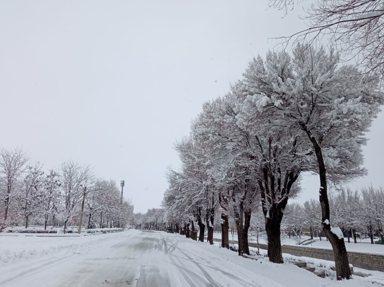 طبیعت برفی و زمستانی شهرستان بروجن (سوئیس ایران) طبیعت برفی و زمستانی شهرستان بروجن (سوئیس ایران)