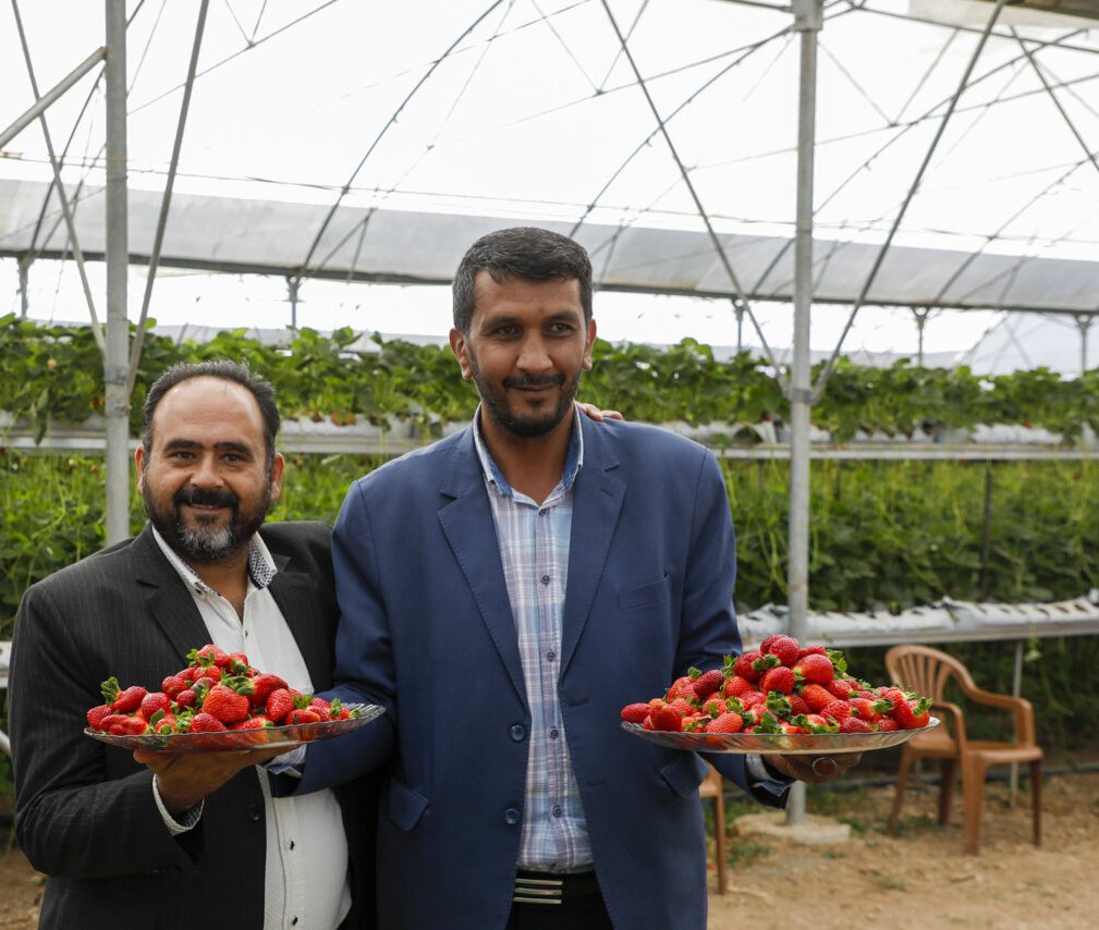 افتتاح گلخانه 5 هزار متری در روستای کنرک شهرستان بروجن افتتاح گلخانه 5 هزار متری در روستای کنرک شهرستان بروجن
