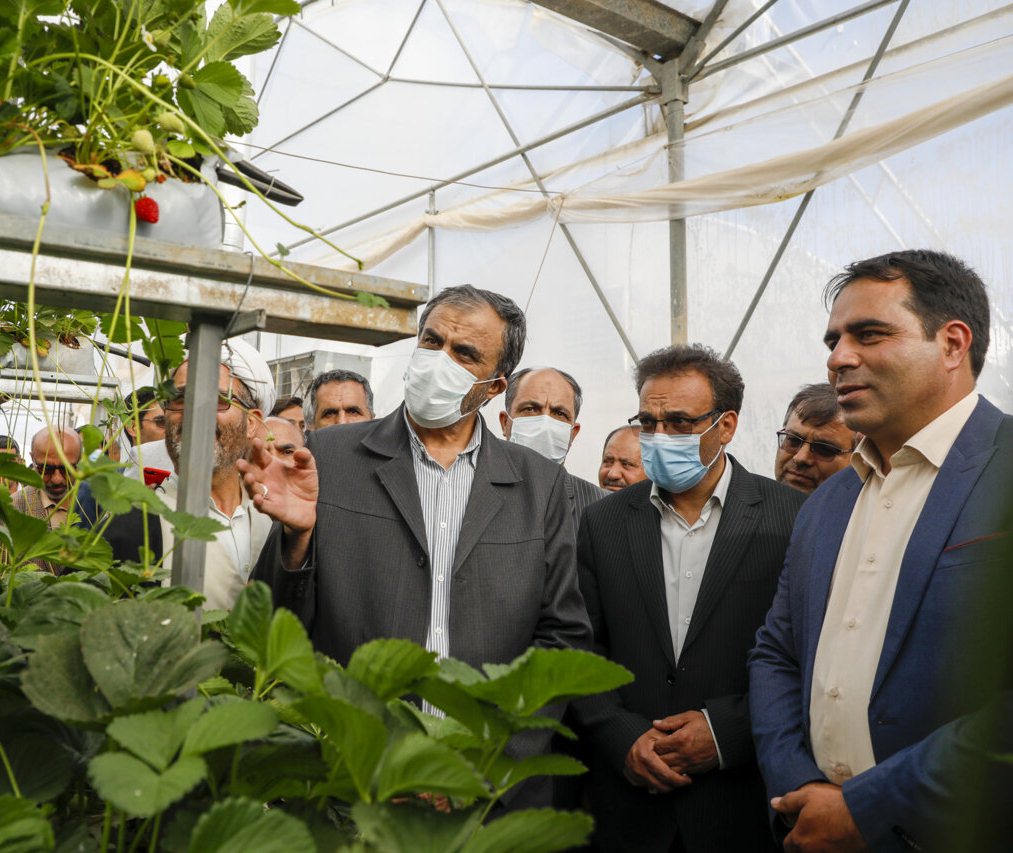 افتتاح گلخانه 5 هزار متری در روستای کنرک شهرستان بروجن افتتاح گلخانه 5 هزار متری در روستای کنرک شهرستان بروجن