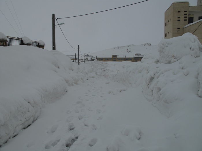 نگرانی و دغدغه ریاست جمهوری از پکن و دستور فوری به استاندار استان برای گسیل و اعزام تجهیزات