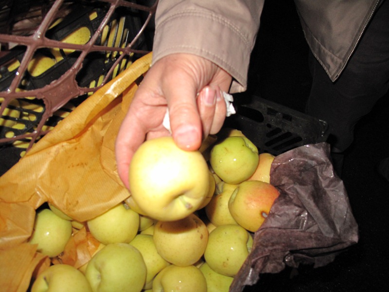 ذخیره و توزیع 450 تن میوه شب عید در نوروز 1402