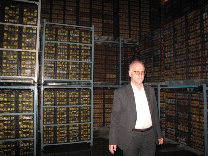 ذخیره و توزیع 450 تن میوه شب عید در نوروز 1402