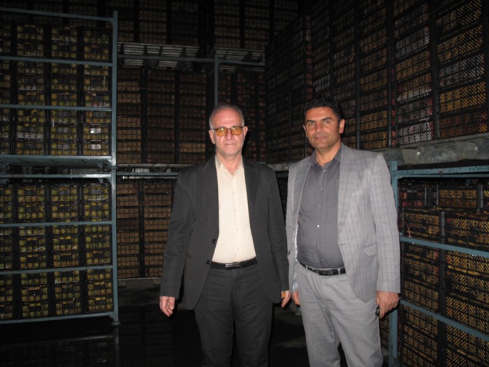 ذخیره و توزیع 450 تن میوه شب عید در نوروز 1402