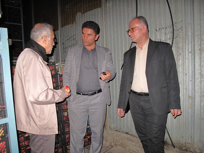 ذخیره و توزیع 450 تن میوه شب عید در نوروز 1402