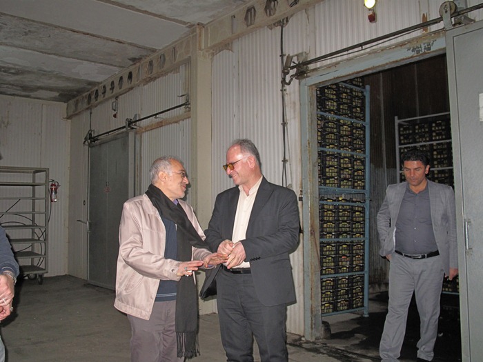 ذخیره و توزیع 450 تن میوه شب عید در نوروز 1402