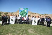 كاشت 100 اصله نهال در جهت پاس‌داشت محیط زیست در شركت بهره برداری نفت و گاز مسجدسلیمان