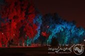 روایتی از نورپردازی و گُلکاری شهرداری اهواز در استقبال از بهار؛ ردای سبزِ بهار بر قامت شهر اهواز