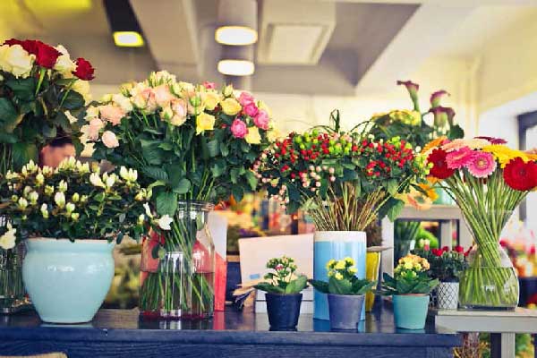 پیدا کردن بهترین گل فروشی ها با کی برتره پیدا کردن بهترین گل فروشی ها با کی برتره