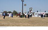 ایجاد انگیزه و تشویق به پرورش اسب