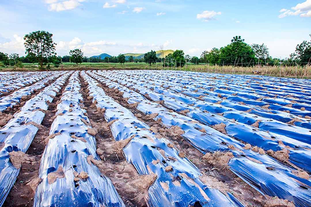 مزایای استفاده از نایلون در کشاورزی و باغداری
