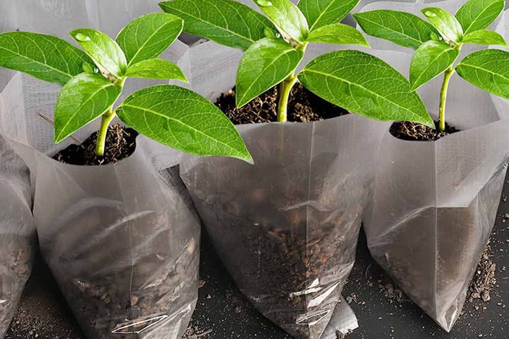 مزایای استفاده از نایلون در کشاورزی و باغداری