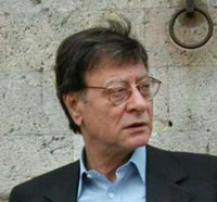 زخم یادگاری بر شاخه های شکسته زیتون