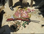 دستگیری شکارچی غیرمجاز با یک رأس بره وحشی در شهرستان فیروزکوه