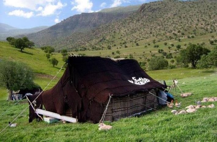 مدیر کل امور عشایر خراسان رضوی گفت: عشایر خراسان رضوی با داشتن ۹۹۵ هزار واحد دامی، سالانه ۳۰ هزار تن مواد پروتئینی شامل گوشت قرمز و سایر محصولات دامی را تولید می‌کنند.