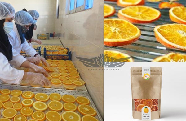 راهنمای خرید دستگاه میوه خشک کن در خط تولید میوه خشک راهنمای خرید دستگاه میوه خشک کن در خط تولید میوه خشک