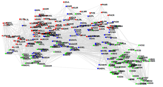 رمزگشایی از ذهن با مطالعه سیم‌کشی‌های مغز در سطح نانو