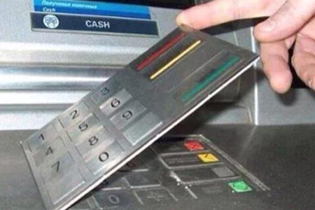 تخلیه حساب بانکی با فریب فروش حیوانات خانگی تخلیه حساب بانکی با فریب فروش حیوانات خانگی