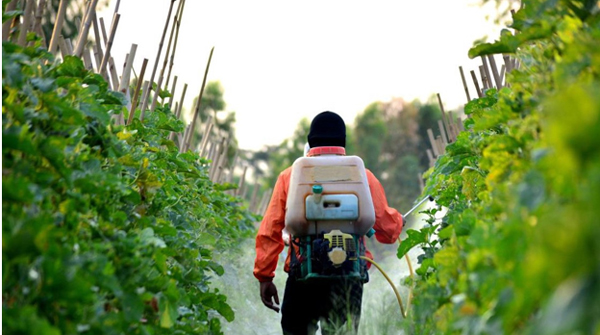 لباس کار محافظ در هنگام سمپاشی
