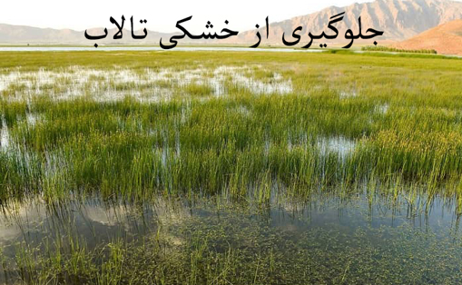 خشکی قریب الوقوع تالاب ها خشکی قریب الوقوع تالاب ها