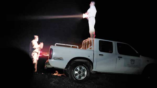 یوزپلنگ‌ها آسان می‌میرند