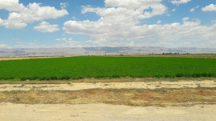 در راستای تحقق شعار سال و منویات مقام معظم رهبری مبنی بر استفاده از ظرفیت شرکت های دانش بنیان در توسعه و تقویت عرصه امنیت غذایی و بخش کشاورزی در بازدید کارشناسان مجموعه دانش بنیان وابسته به نهاد پیشرفت مستقر در دفتر راهبردی نهاد رهبری، از هنرستان شهید یوسفی ۲ ناحیه شش مشهد و جدیدترین سیستم آبیاری حال حاضر صنعت کشاورزی نیز بازدید شد.