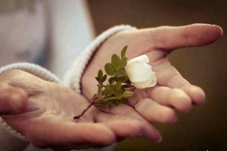تمرین مهربانی در دنیای خودخواه امروز