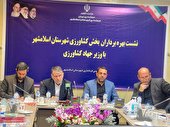 ۴۵۰ میلیارد تومان به کلزاکاران پرداخت می‌شود/ آزاد شدن صادرات دام از شنبه