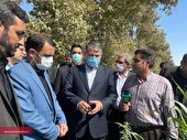 اسلامشهر قطب کشاورزی، دامپروری و صنایع غذایی استان تهران است