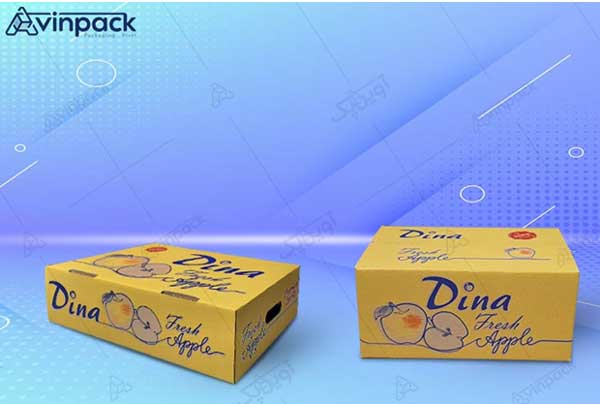 راز مورد توجه قرار گرفتن بسته بندی های صادراتی سیب در آذربایجان غربی